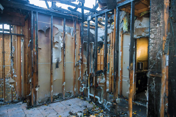 Professional Structural Rebuild technician working in Bayport, MN